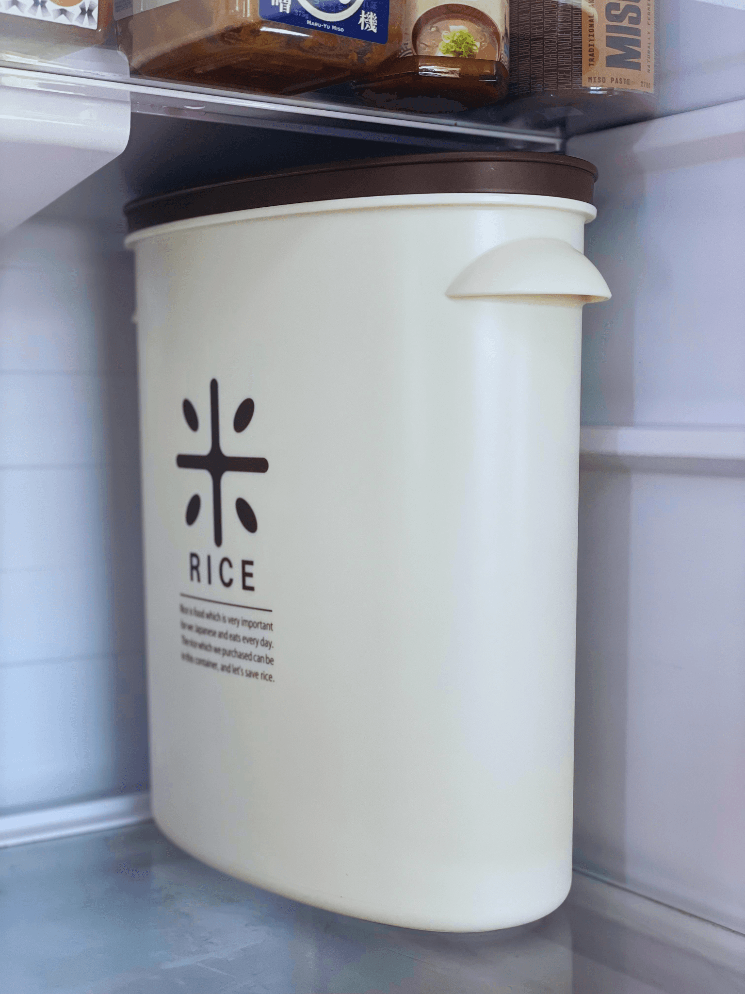 Rice container used for storing rice in the fridge