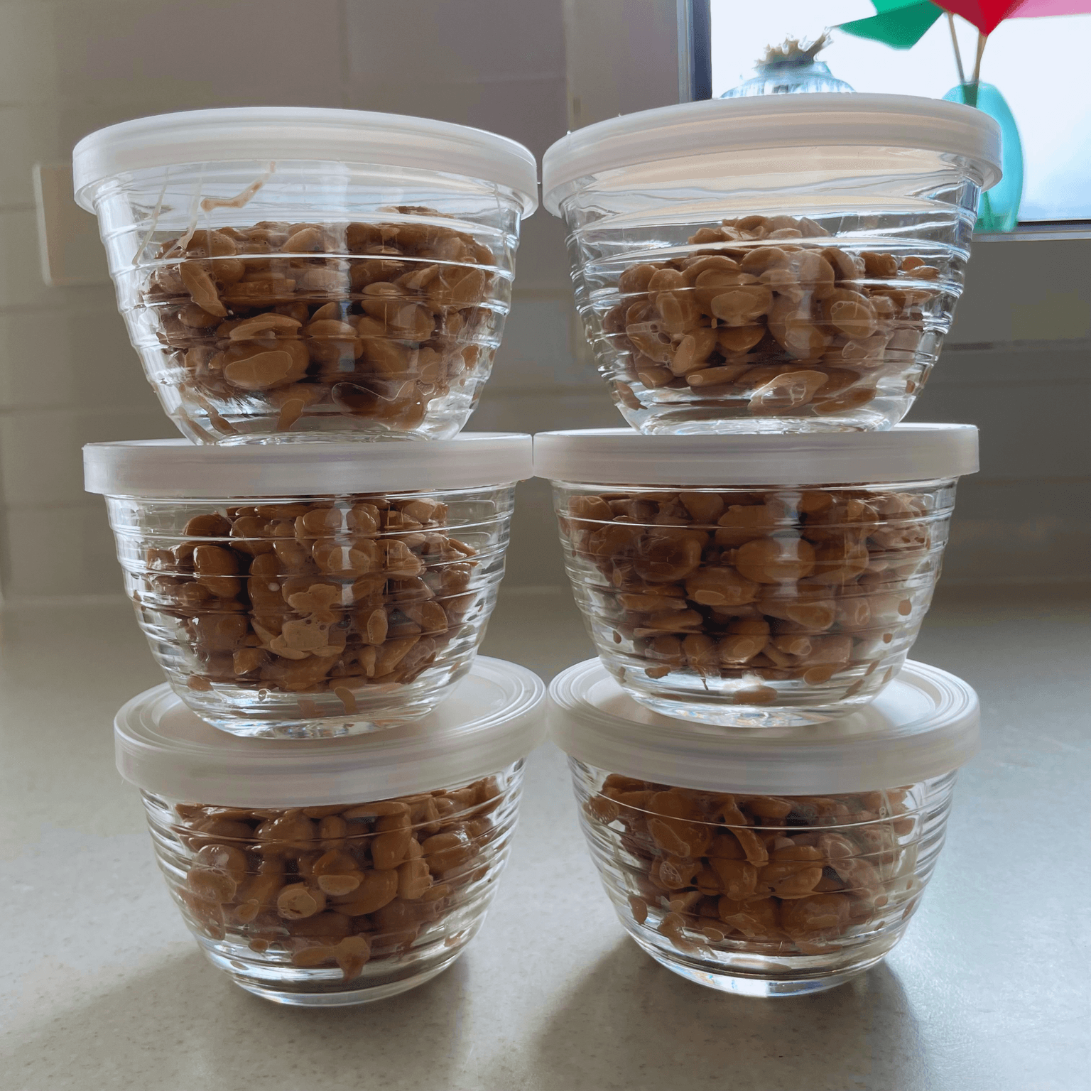 Homemade natto portioned into airtight glass containers