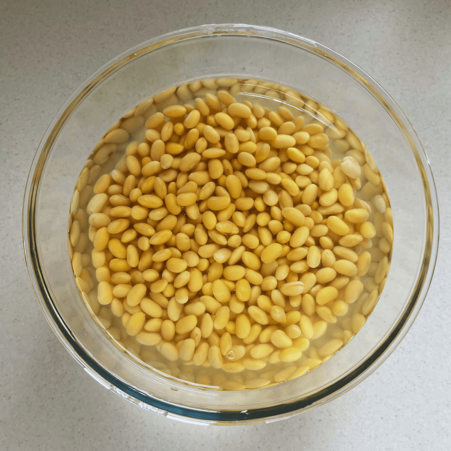 Soybeans soaking in water for homemade natto