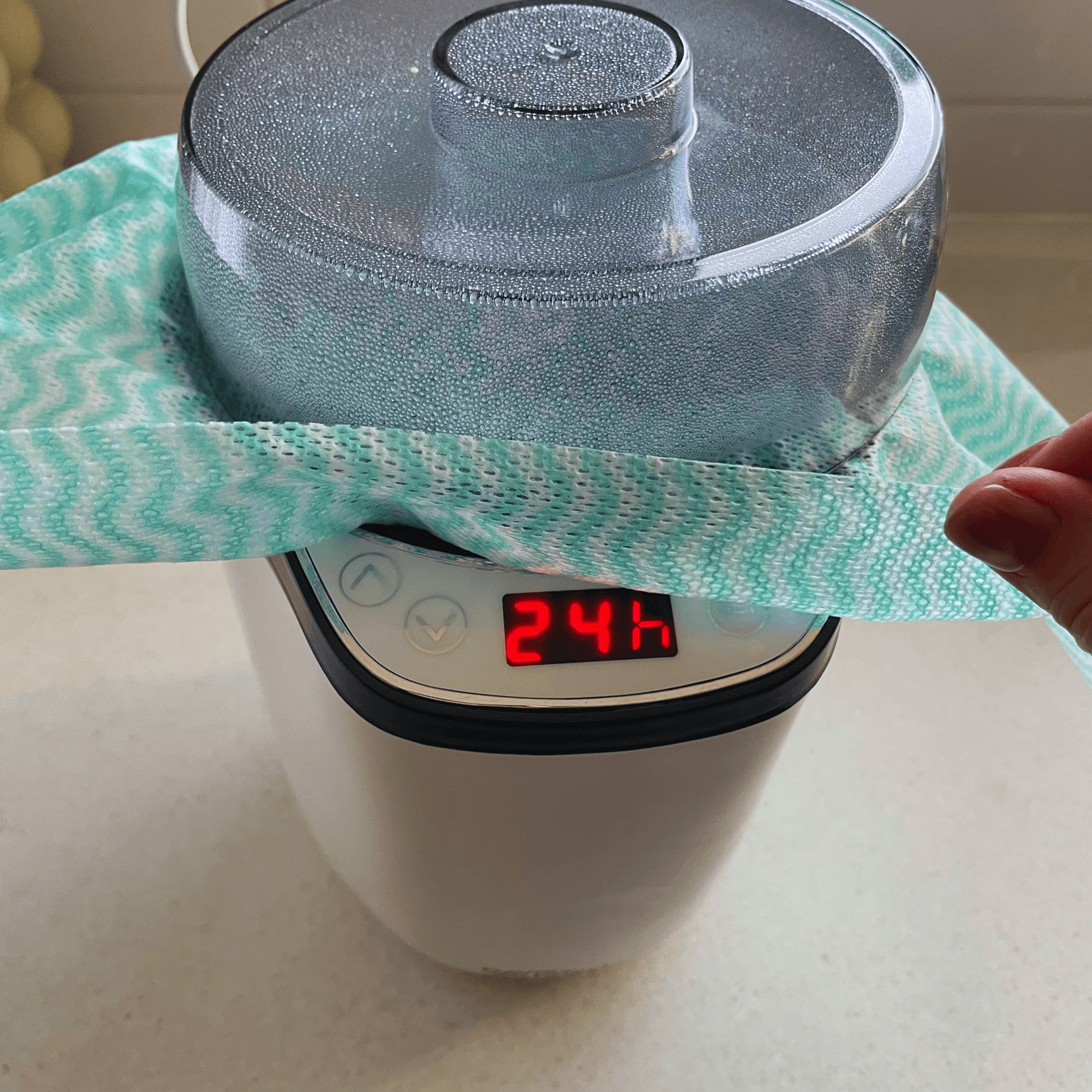 Natto fermenting in a yogurt maker