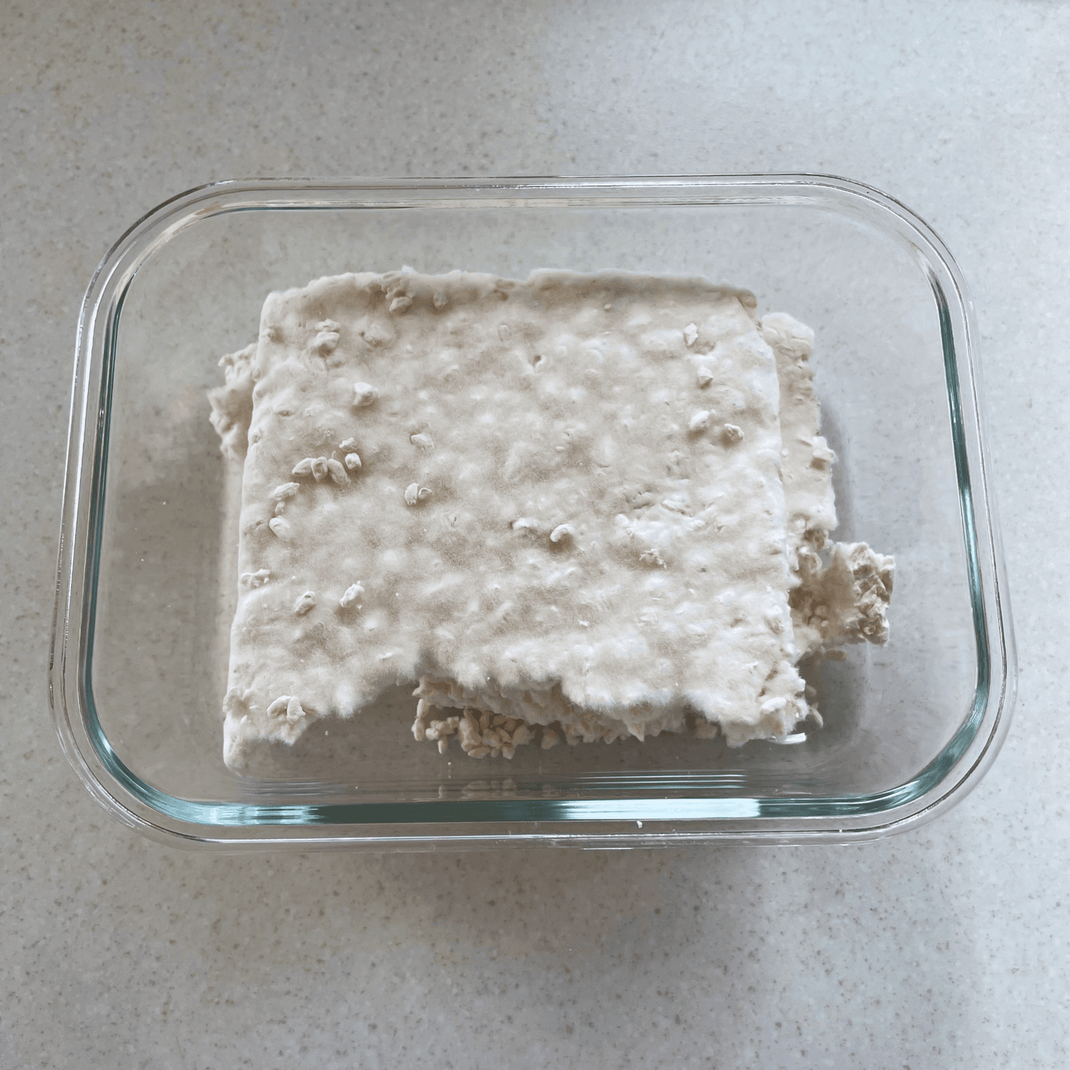 A compact block of Miyako Koji dried rice koji before being broken up