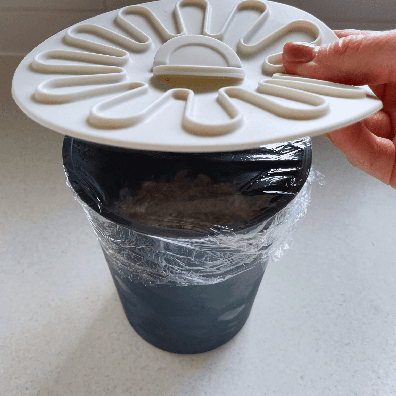 Silicone lid used to cover a natto container before resting in the fridge